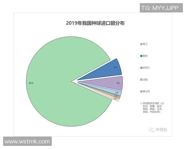 独家分析：杭州足球队近期表现对比及未来发展趋势探讨