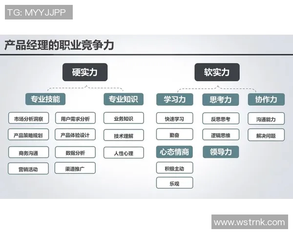 深圳排球队比赛经验深度解析：从战术到团队协作的全方位探讨
